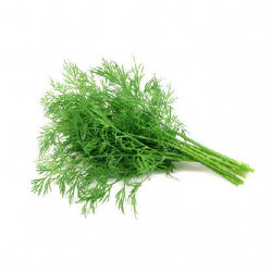 KÔPOR MRAZENÝ 1kg