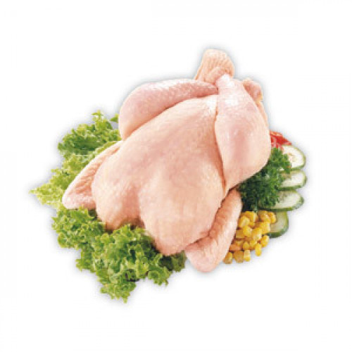 Kurča (1300g/ks) SK/CZ
