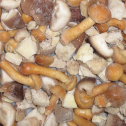 Mrazené hríby - zmes 1kg VF